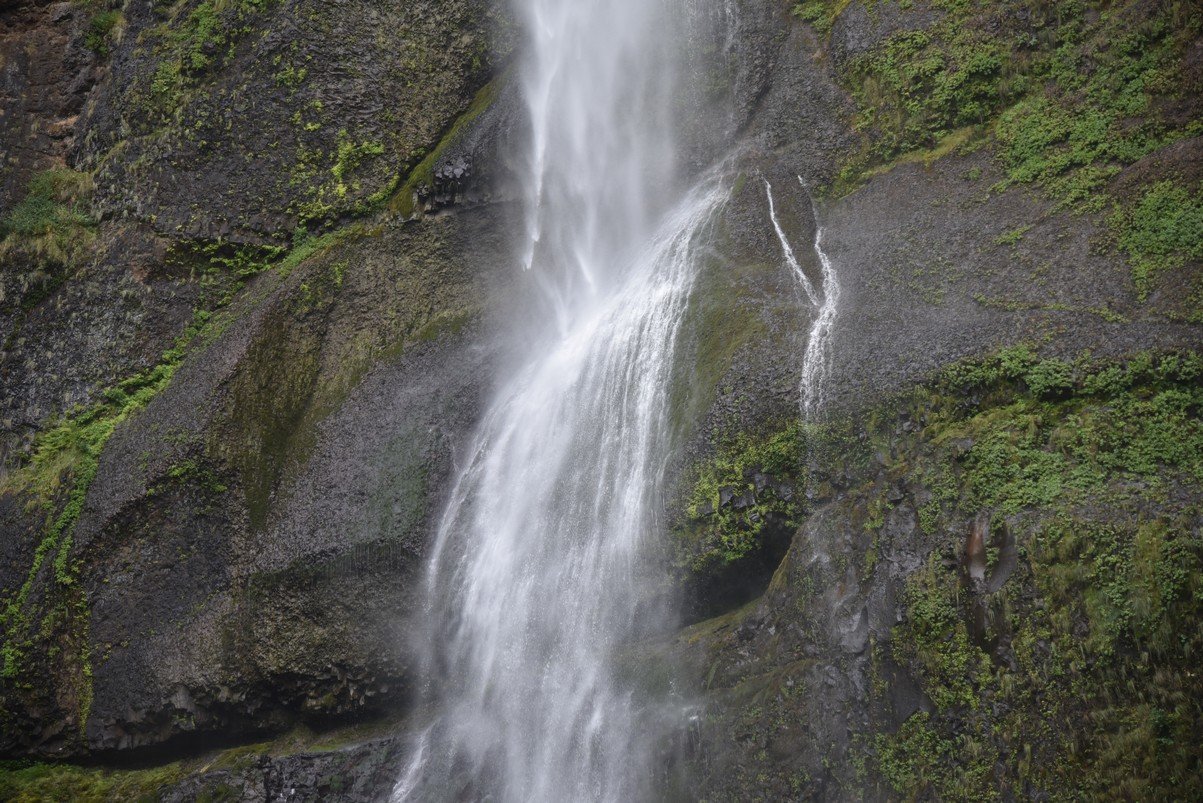 dsc_2807_fs.jpg