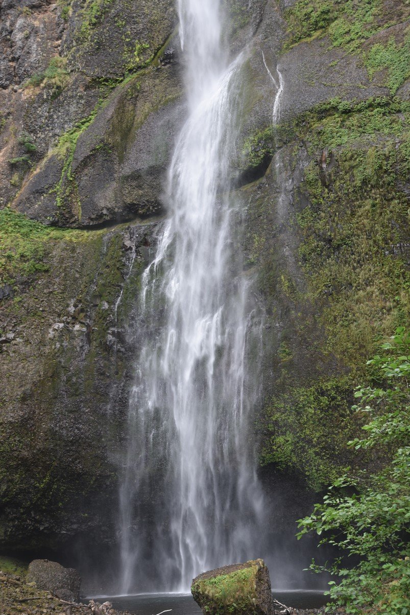 dsc_2811_fs.jpg