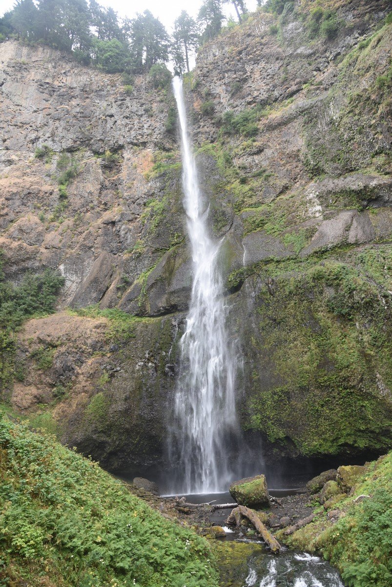dsc_2815_fs.jpg