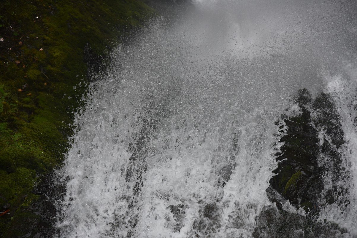 dsc_2820_fs.jpg