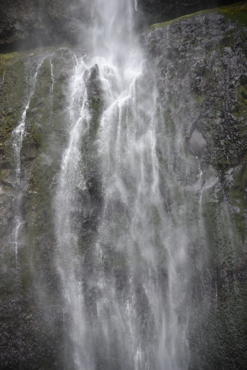 dsc_2829_fs.jpg
