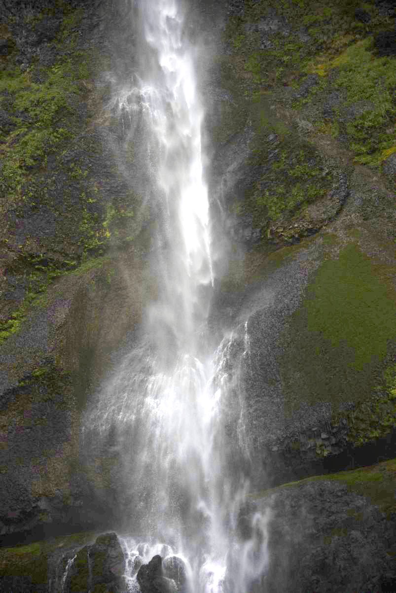 dsc_2832_fs_nat.jpg