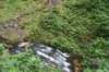 dsc_2844_fs_small.jpg