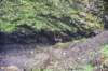 dsc_2845_fs_small.jpg
