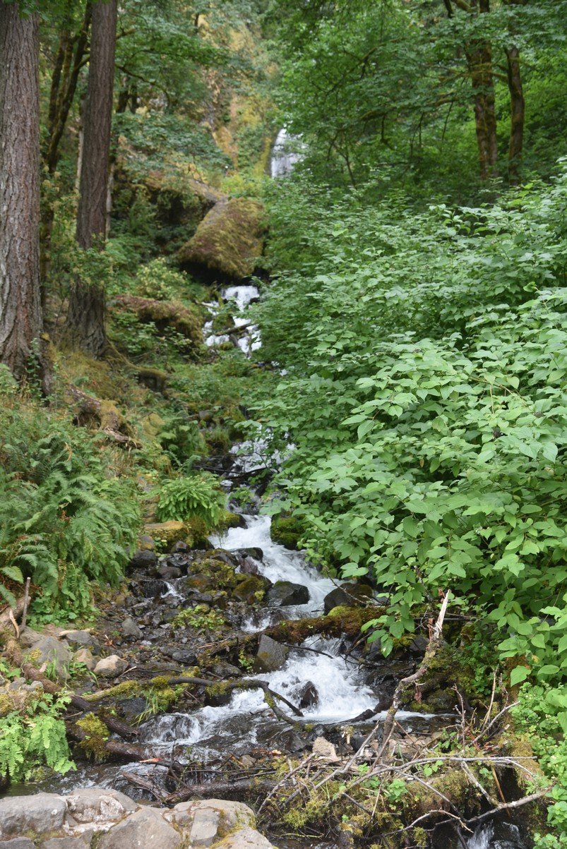 dsc_2862_fs.jpg
