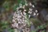 dsc_2868_fs_small.jpg