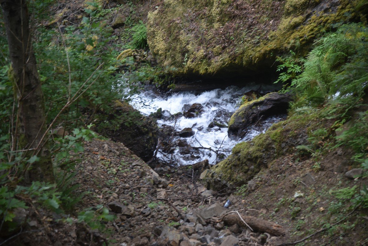 dsc_2870_fs.jpg