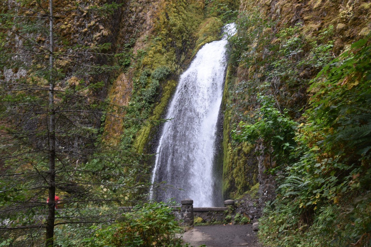dsc_2871_fs.jpg