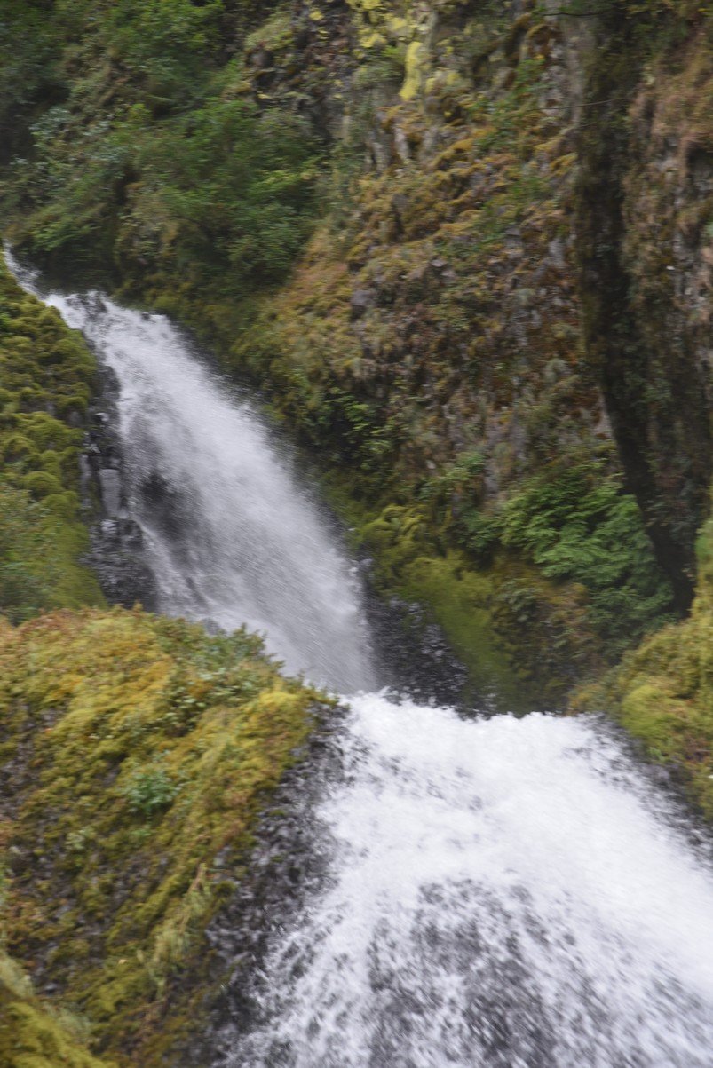 dsc_2876_fs.jpg