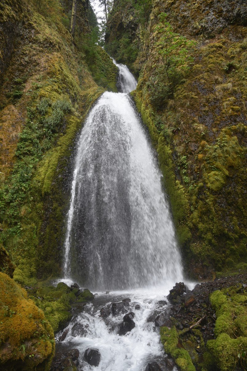 dsc_2878_fs.jpg