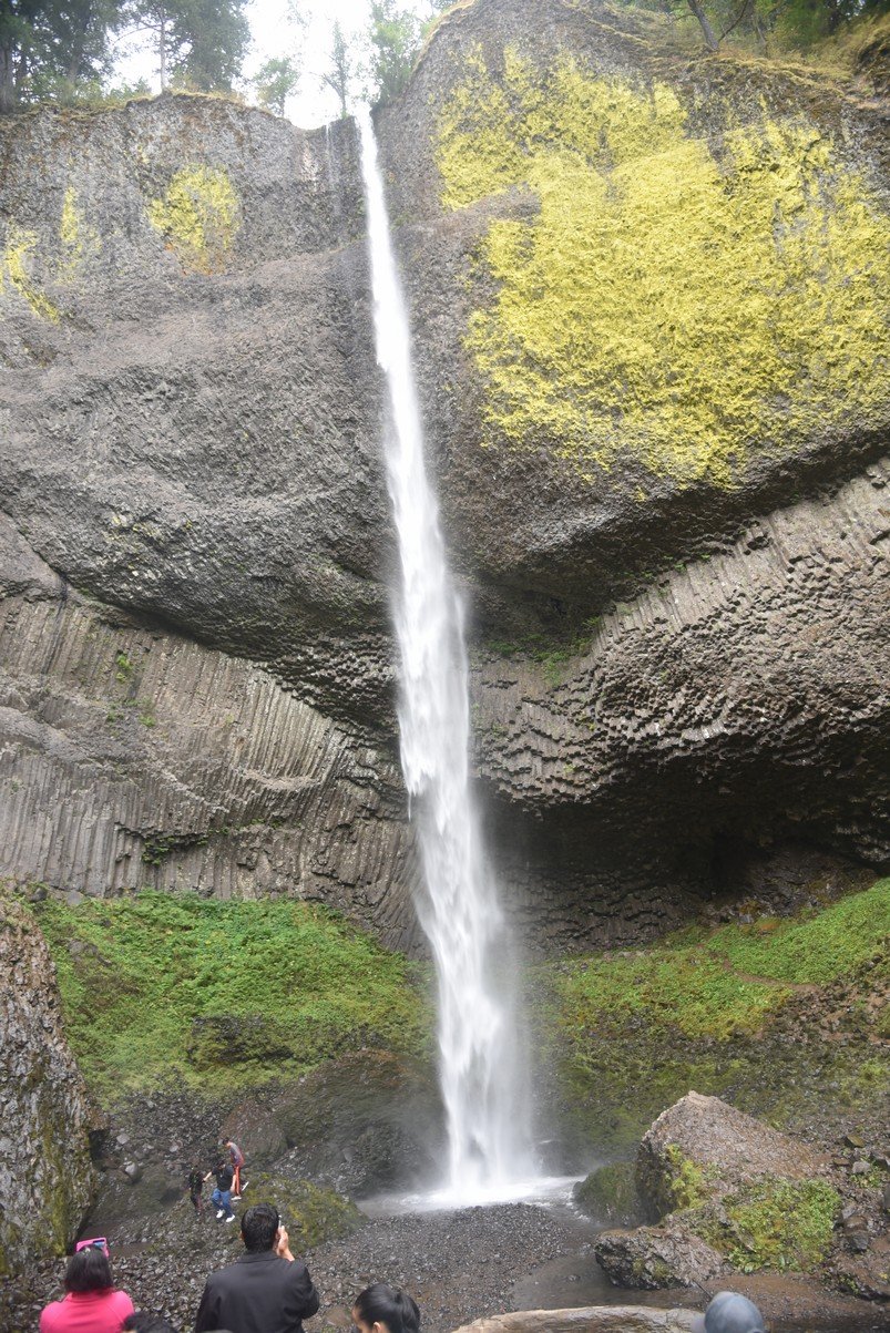 dsc_2902_fs.jpg