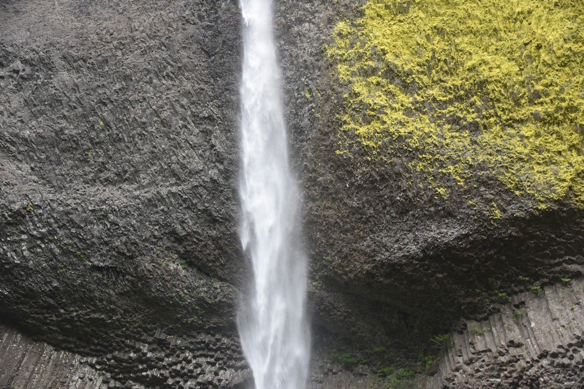dsc_2905_fs.jpg