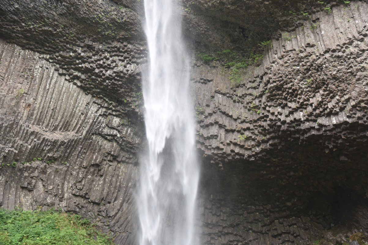 dsc_2907_fs.jpg