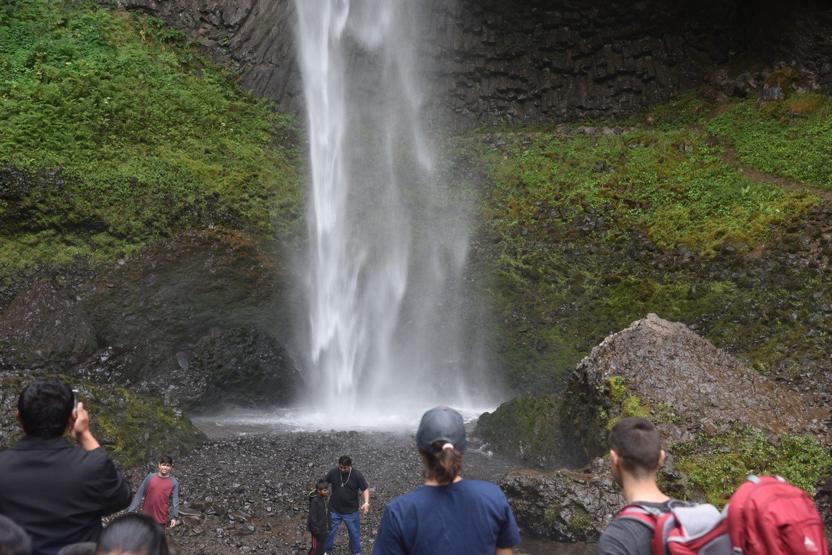 dsc_2909_fs.jpg