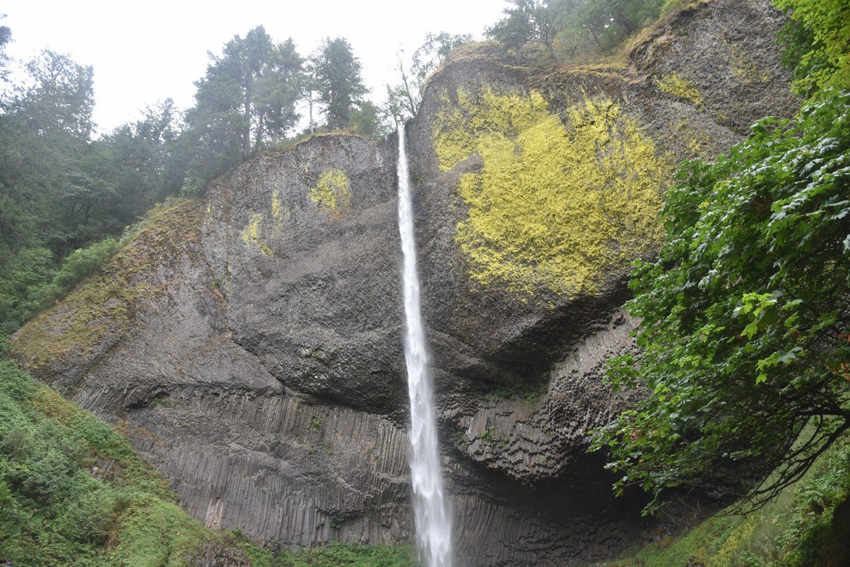 dsc_2911_fs.jpg