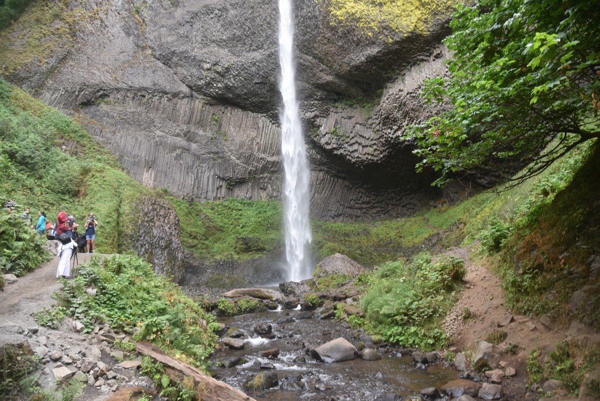 dsc_2913_fs.jpg