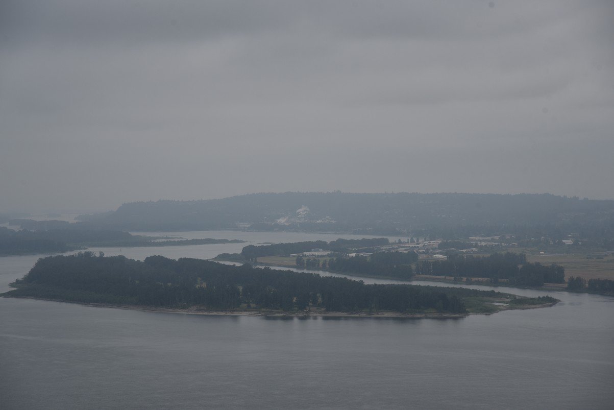 dsc_2959_fs.jpg
