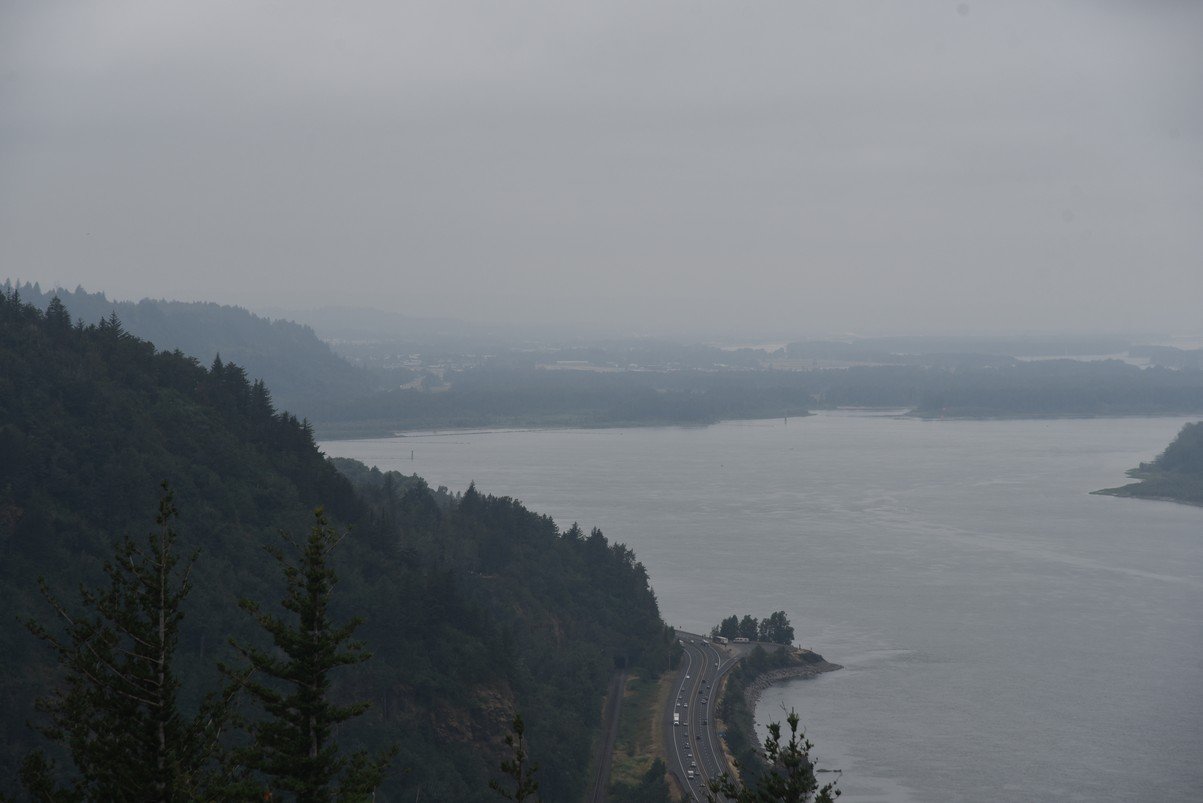 dsc_2960_fs.jpg