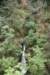 dsc_2967_fs_small.jpg