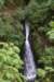 dsc_2968_fs_small.jpg