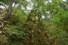 dsc_2975_fs_small.jpg