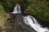 dsc_2977_fs_small.jpg