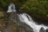 dsc_2978_fs_small.jpg