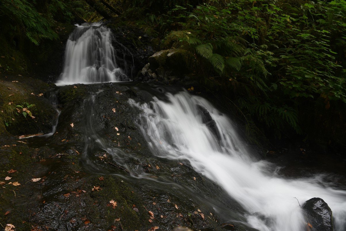 dsc_2979_fs.jpg