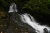 dsc_2979_fs_small.jpg