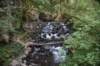 dsc_2988_fs_small.jpg