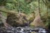 dsc_2990_fs_small.jpg