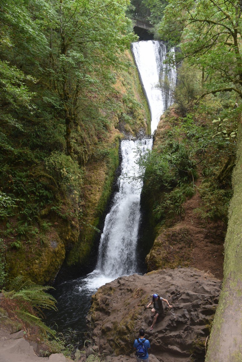 dsc_2995_fs.jpg