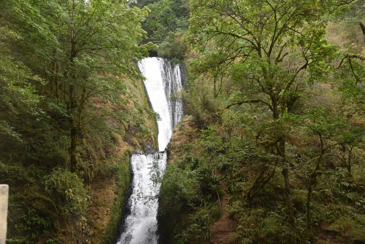dsc_2996_fs.jpg