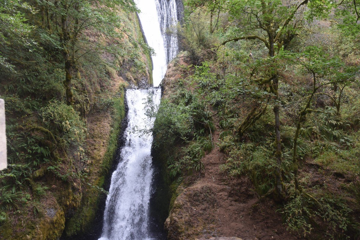dsc_2997_fs.jpg