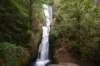 dsc_3001_fs_small.jpg