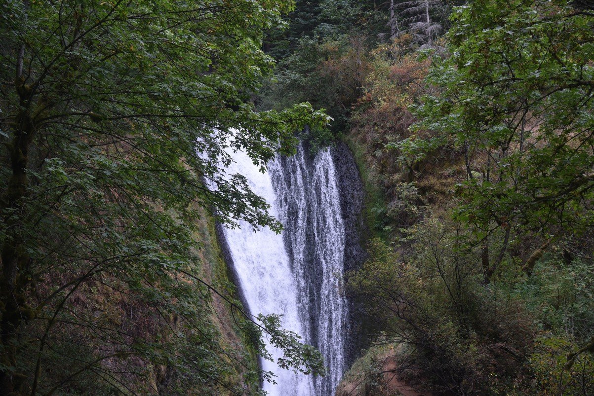 dsc_3003_fs.jpg
