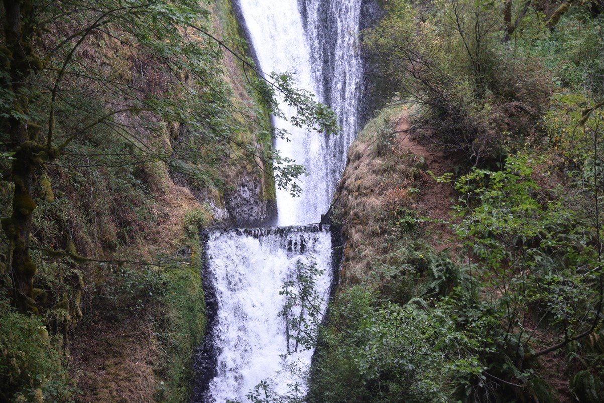 dsc_3005_fs.jpg