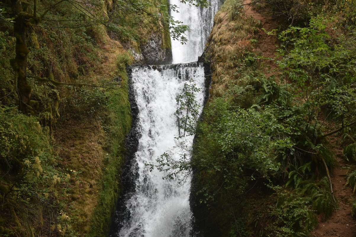 dsc_3006_fs.jpg