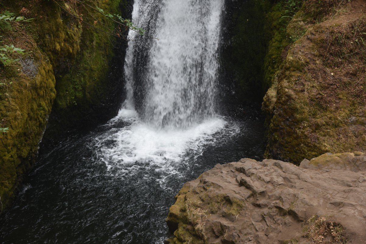 dsc_3009_fs.jpg