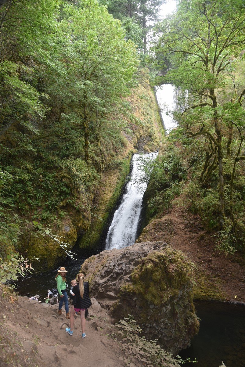 dsc_3012_fs.jpg