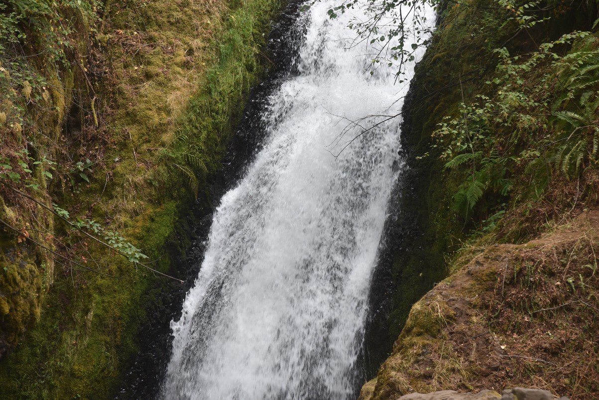 dsc_3013_fs.jpg