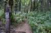 dsc_3045_fs_small.jpg