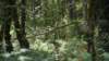 dsc_3047_fs_small.jpg