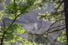 dsc_3053_fs_small.jpg