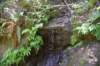 dsc_3055_fs_small.jpg