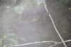 dsc_3056_fs_small.jpg