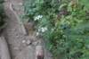dsc_3092_fs_small.jpg