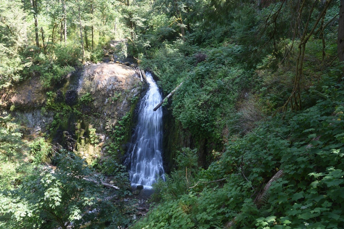 dsc_3099_fs.jpg