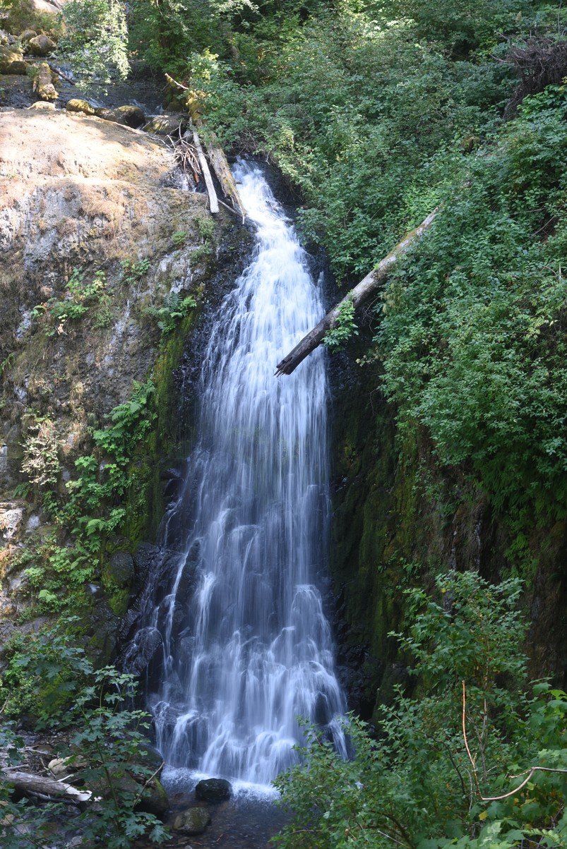 dsc_3100_fs.jpg