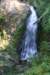 dsc_3101_fs_small.jpg